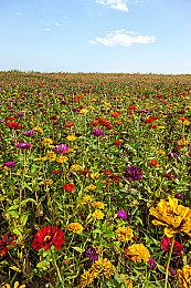 《极品飞车22》原声乐公开 25个国家超70首曲目